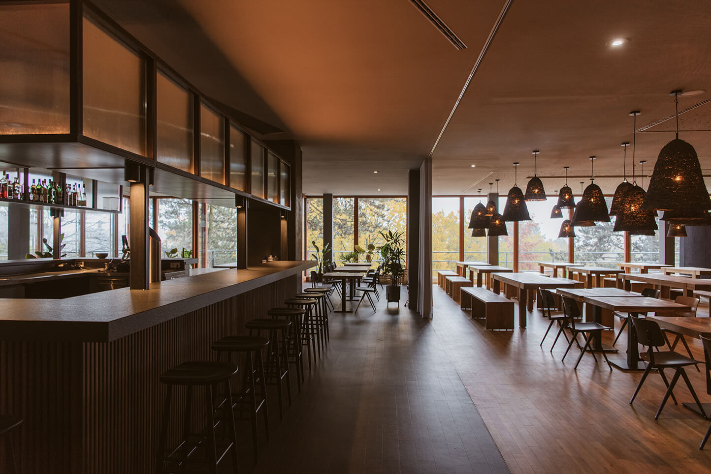 The Bold bar & eatery und das restaurant mit Aussicht in den park