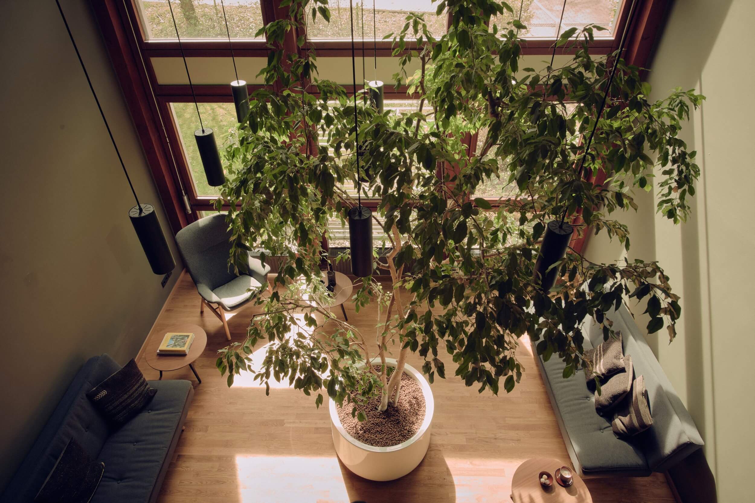 Bold Campus Breakout Area Treehouse Totale