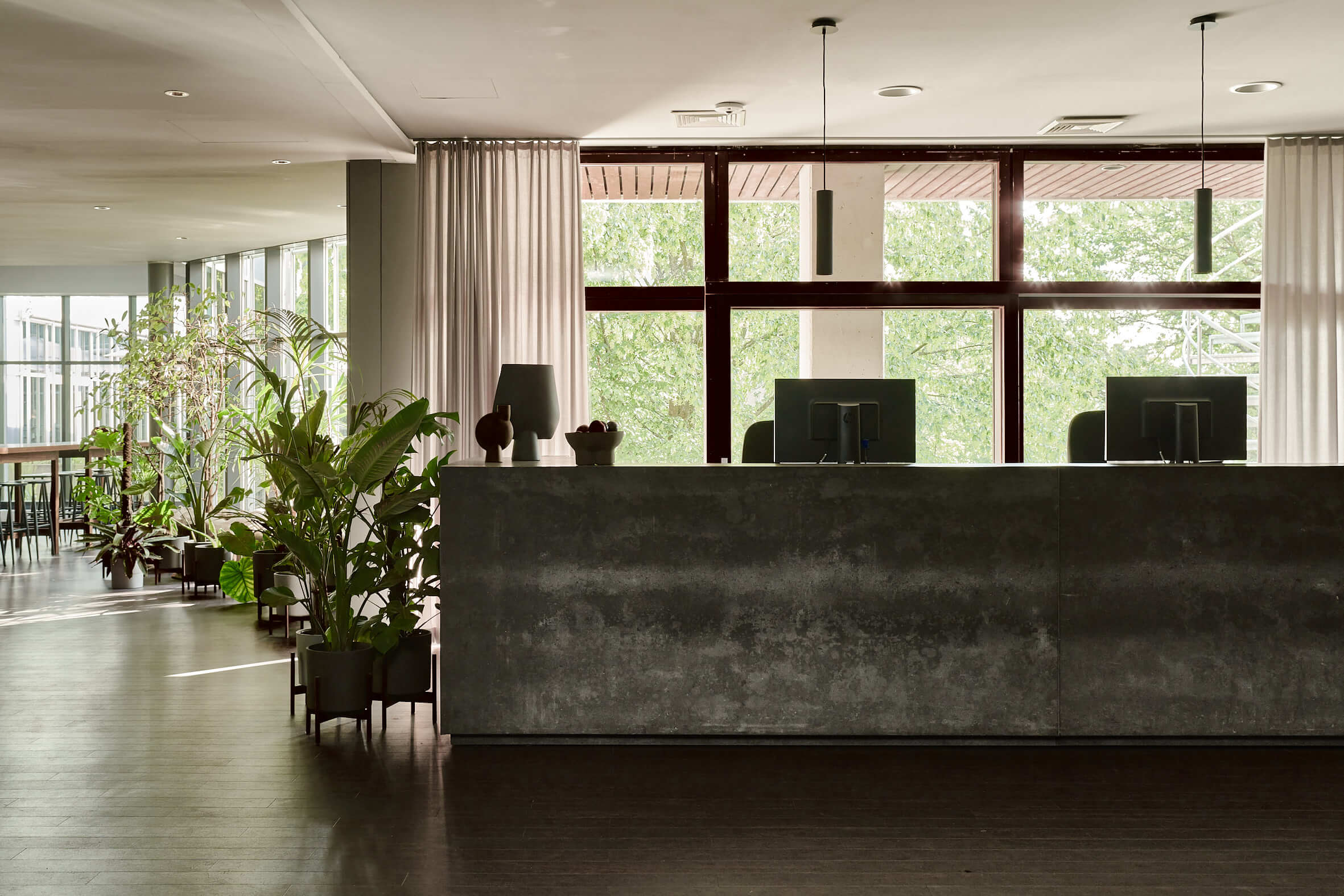 Grey reception desk with monitors in front of a bright window front, to the left a corridor along the window lined with many potted plants. 