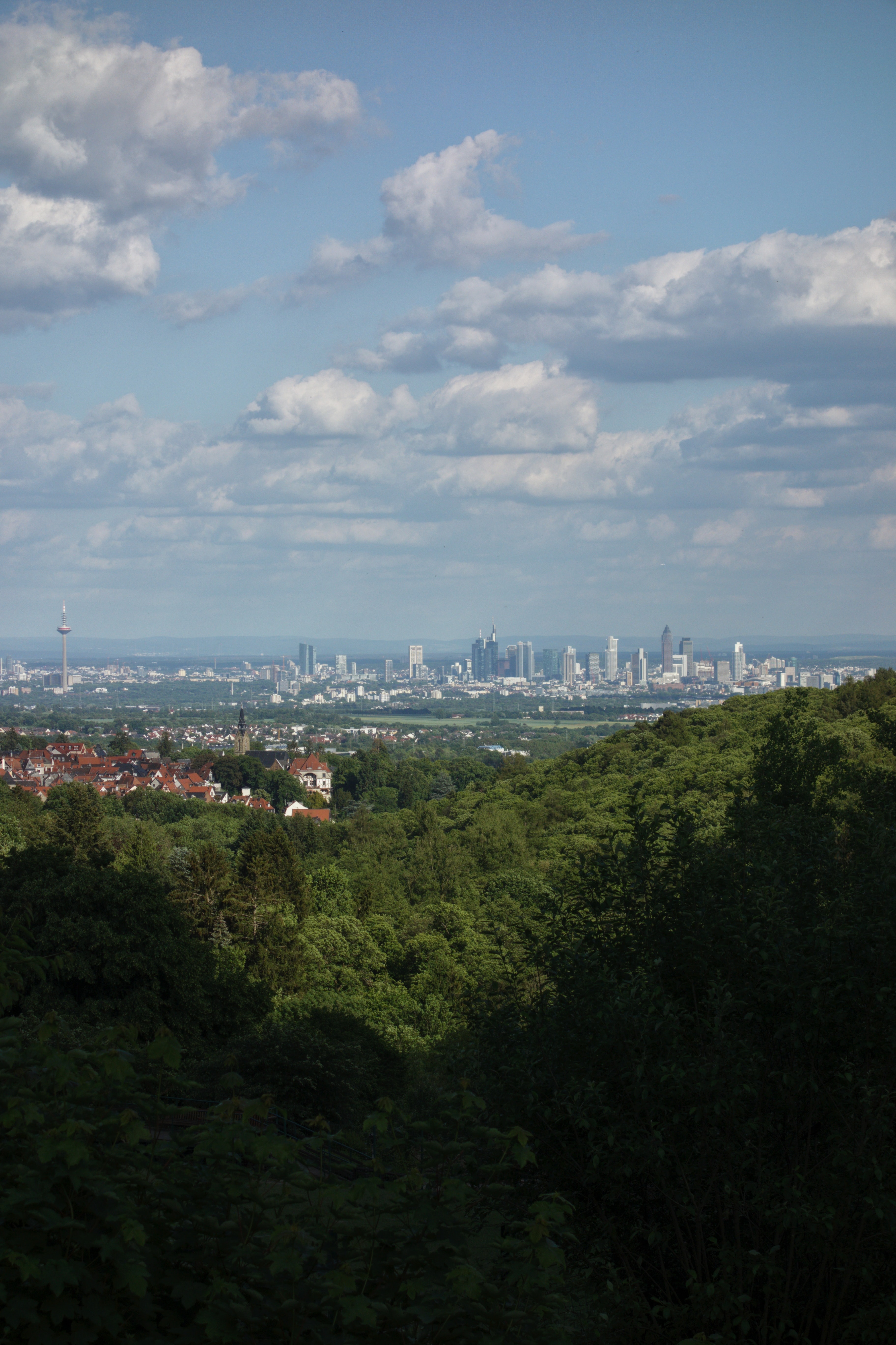 Dichte Wälder mit Blick auf die Skyline einer Großstadt