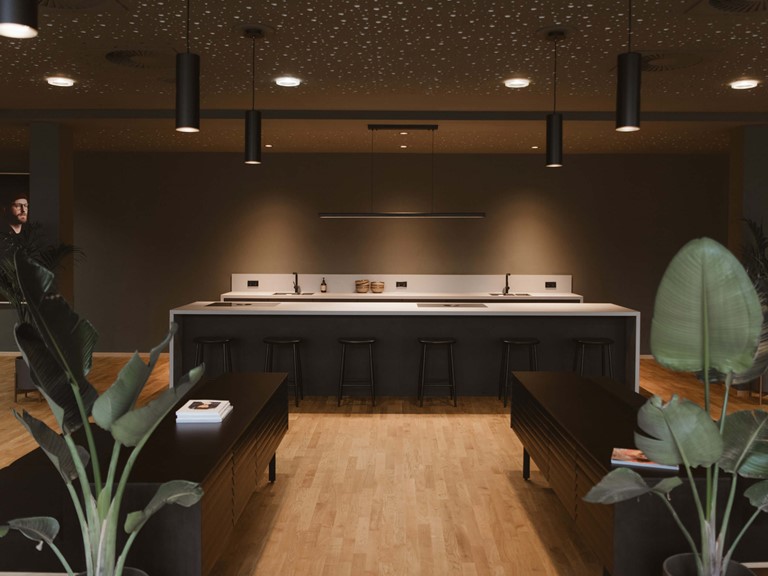 An open room with light wooden floors and dark walls, a show kitchen in the centre of the wall in the background, large-leafed plants and low, dark sideboards define the foreground on the right and left.