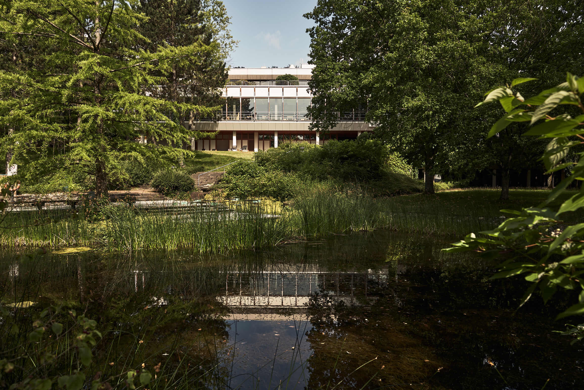 Blick über einen Teich mit Gräsern auf ein Gebäude, das von hohen Bäumen eingerahmt und leicht verdeckt wird. Es spiegelt sich im Teich. 