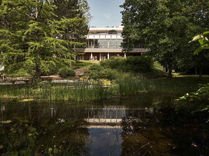 View across a pond with grasses to a building framed and slightly hidden by tall trees. It is being reflected by the pond. 