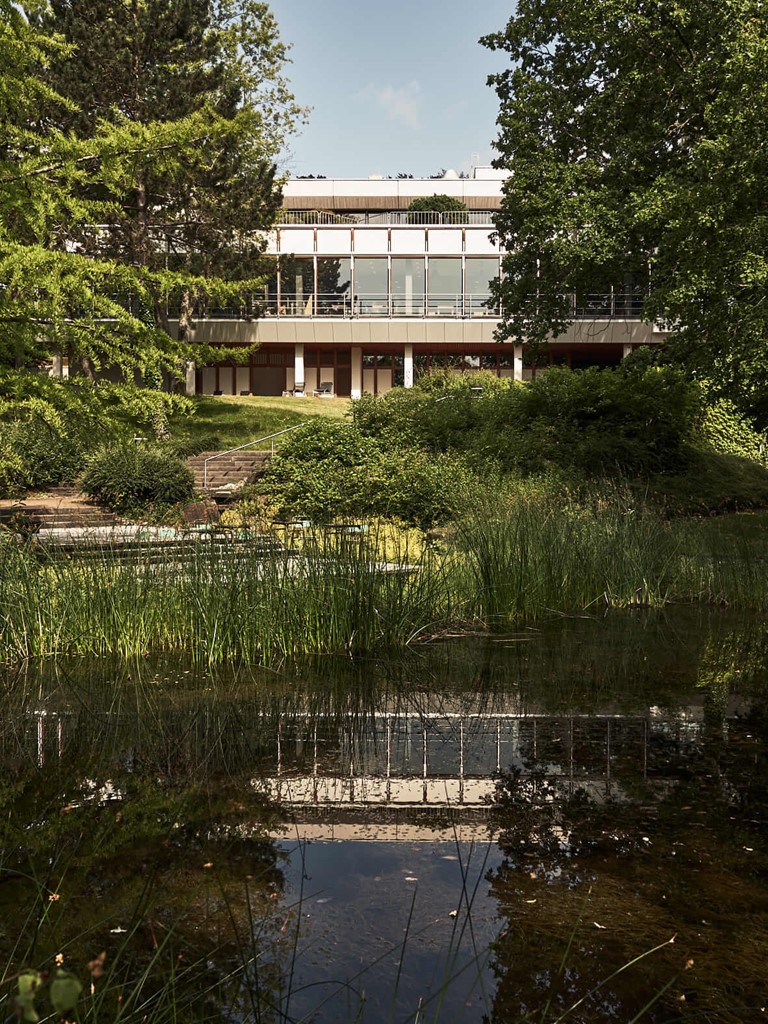 Blick über einen Teich mit Gräsern auf ein Gebäude, das von hohen Bäumen eingerahmt und leicht verdeckt wird. Es spiegelt sich im Teich. 