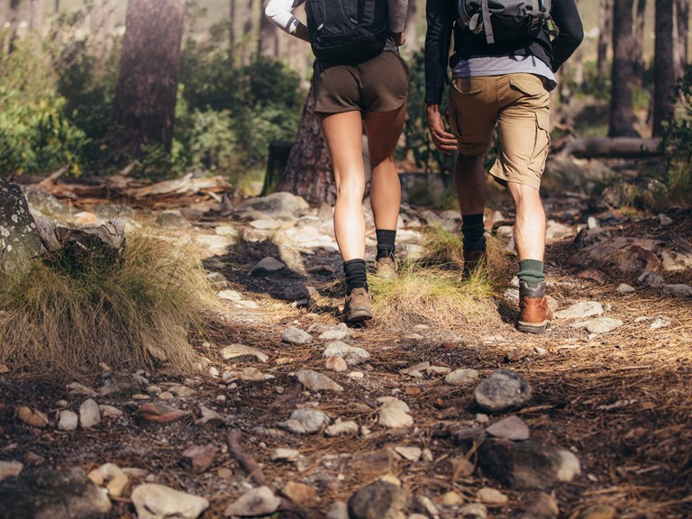 A man and a woman in short trekking trousers and hiking boots walk through a forest. Only the legs of the two can be seen.