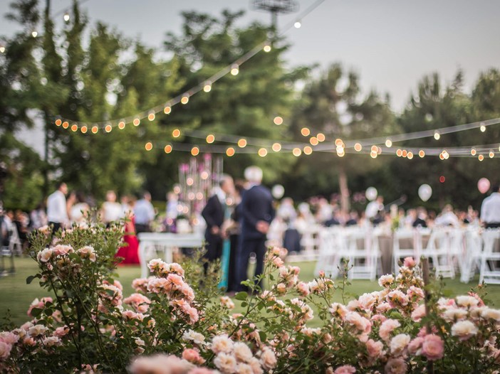 A blurred wedding party celebrates outdoors under strings of lights. At the bottom of the picture, roses can be seen at the front. 