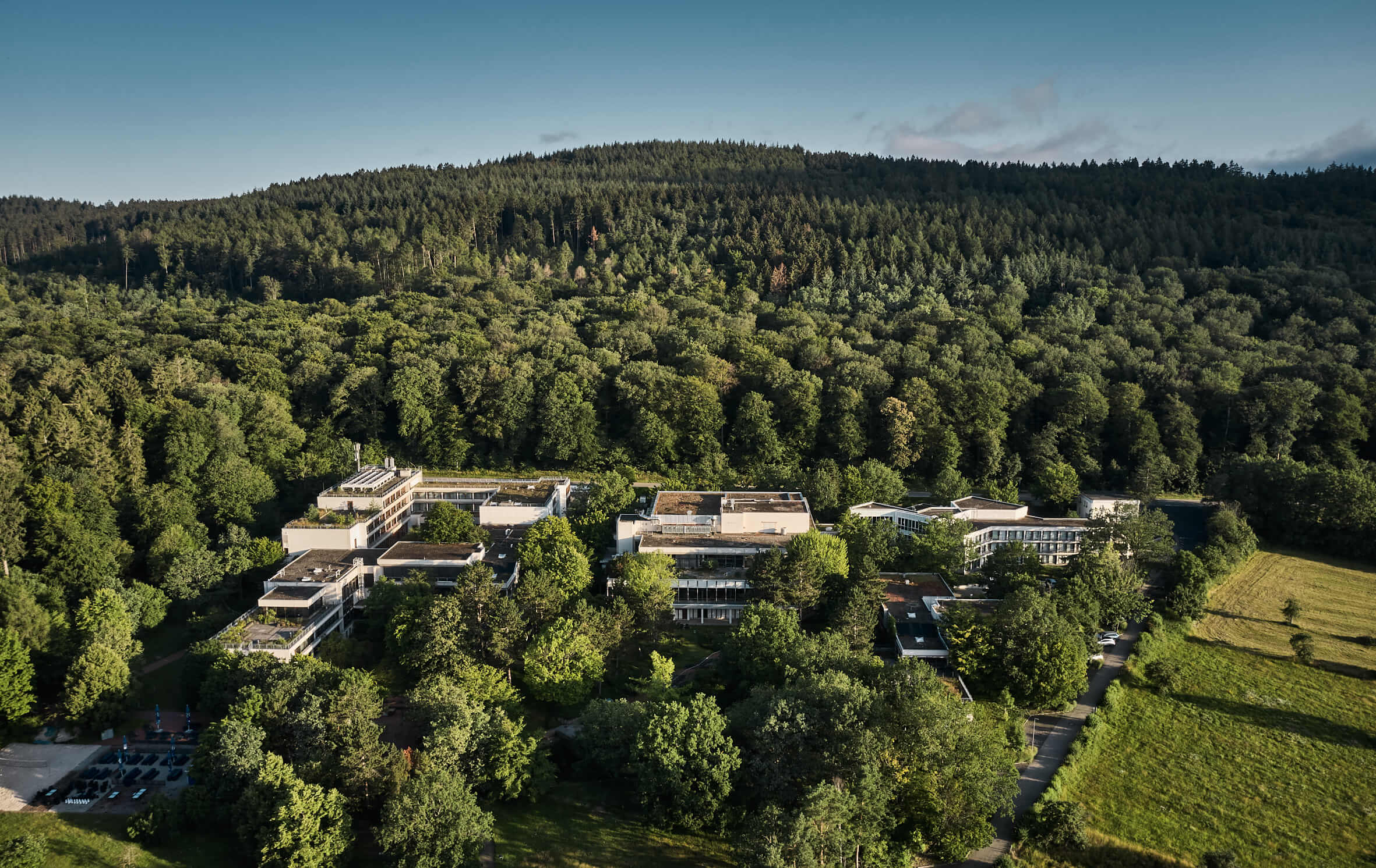 Bold Campus Forest Sunny