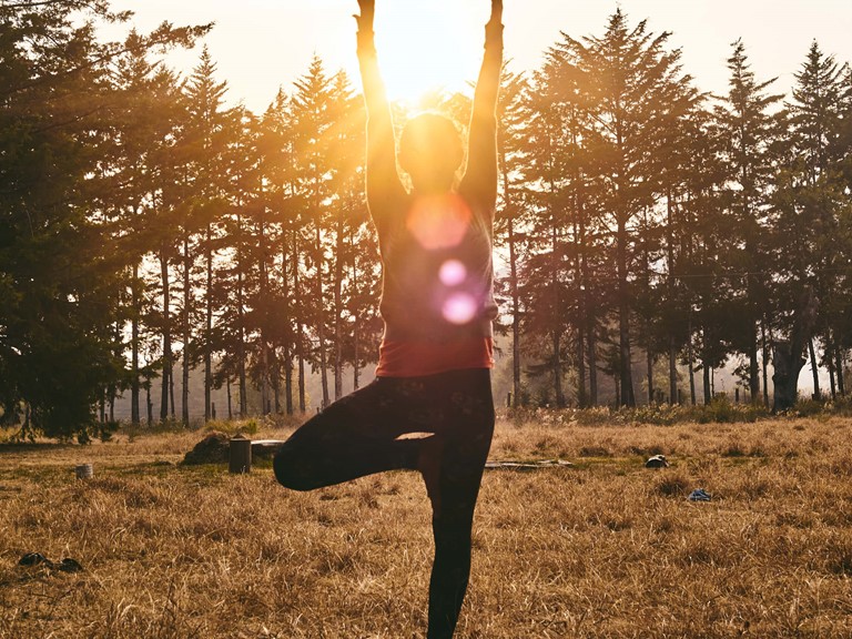 A woman in black leggings does yoga at the edge of the forest while the sun rises. She stands in the tree position and stretches both arms towards the sky. 