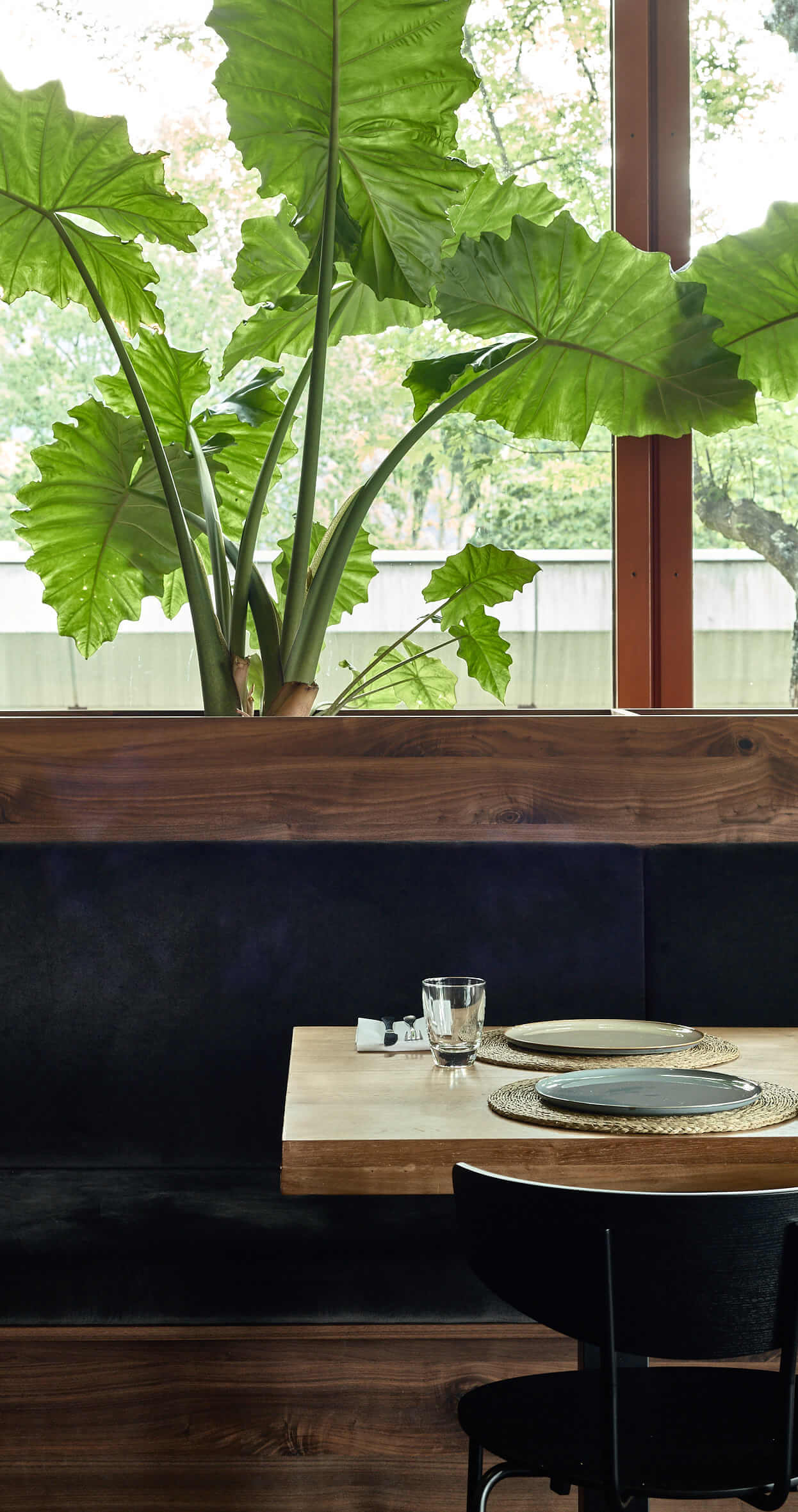 Anschnitt eines gedeckten Holztisches mit schwarzem Stuhl davor und einer Sitzbank dahinter. Über der Sitzbank sind grüne Blätter vor einem großen Fenster zu sehen.